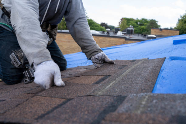 Best Roof Gutter Cleaning  in Anadarko, OK